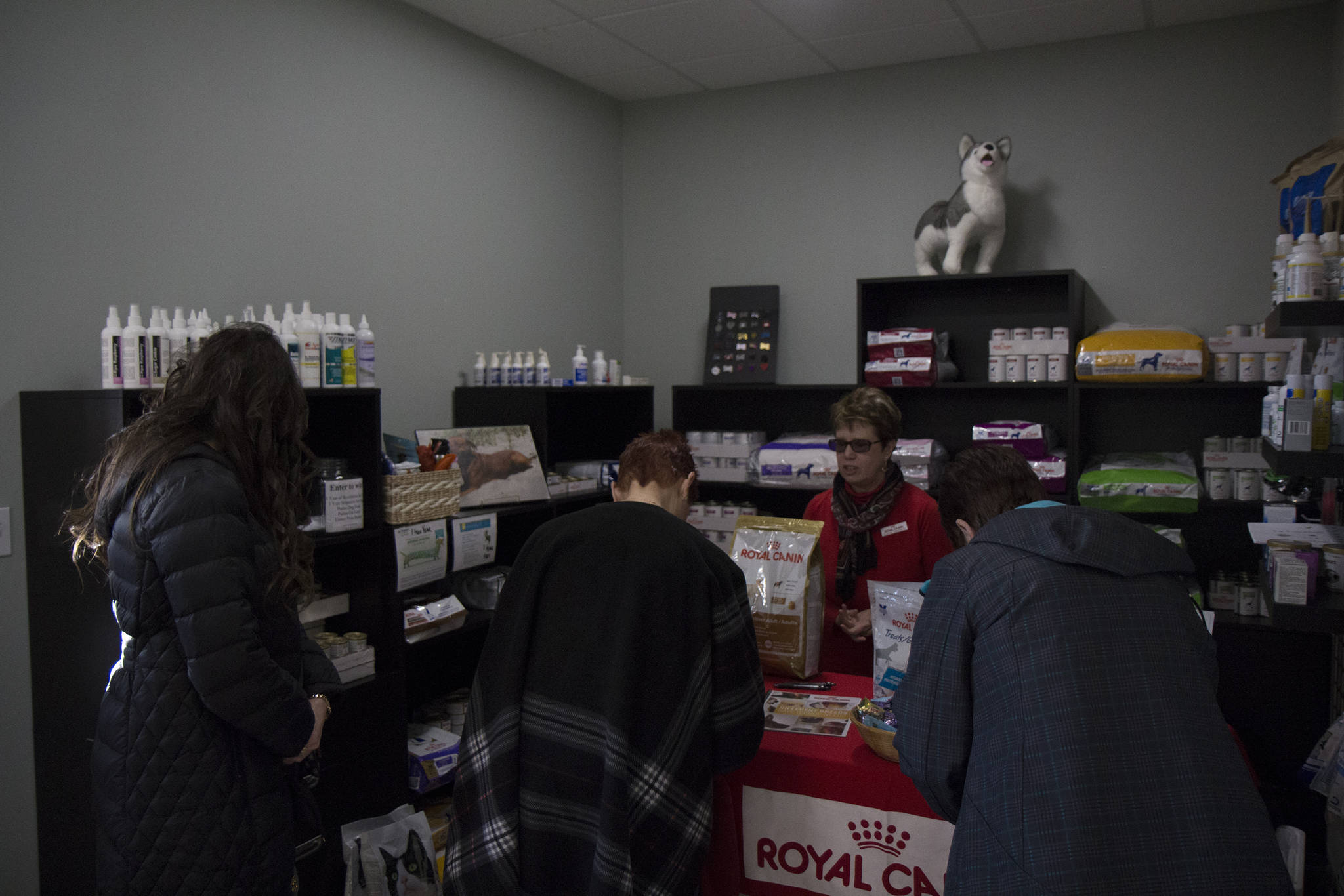 Grays Harbor Veterinary Services holds open house The Vidette