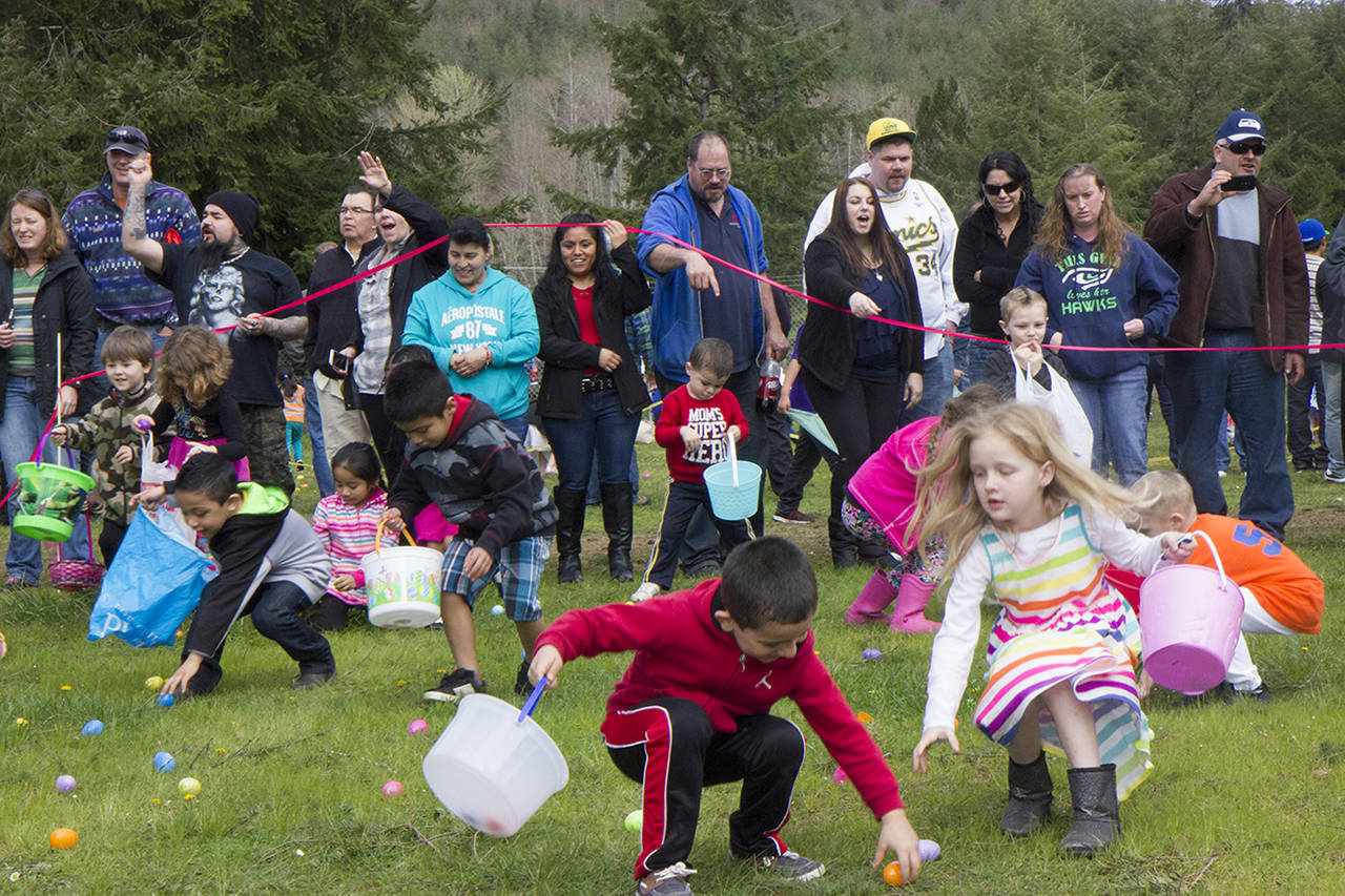 (Corey Morris | The Vidette) Children dash during the Elma VFW Auxiliary’s 2016 Easter egg hunt at the Grays Harbor Fairgrounds. The hunt returns to the fairgrounds on April 15.