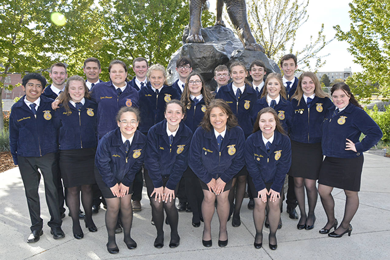 Third Best Chapter: Elma FFA is named the 3rd Best Chapter in the state of Washington. Elma FFA members competing in various events at the State FFA Convention include: Back Row Left to Right: Florencio Ramirez Ramirez, Aaron Bultman, Shayla Kelly, Mickey Velasco, Rachel Boomer, Albert Swalander, Quin Mikel, Ezekiel Mueller, Abigail Spoonhoward, William Sturniolo, Jalyn Sackrider, Dave Downing, Emily Rockey, Kilian Acuff, Hannah Hartley, and Morgan Thompson. Bottom Row: Alaina Brown, Kaelyn Burgher, Chloe Velasco, and Mikhaela Nelson.