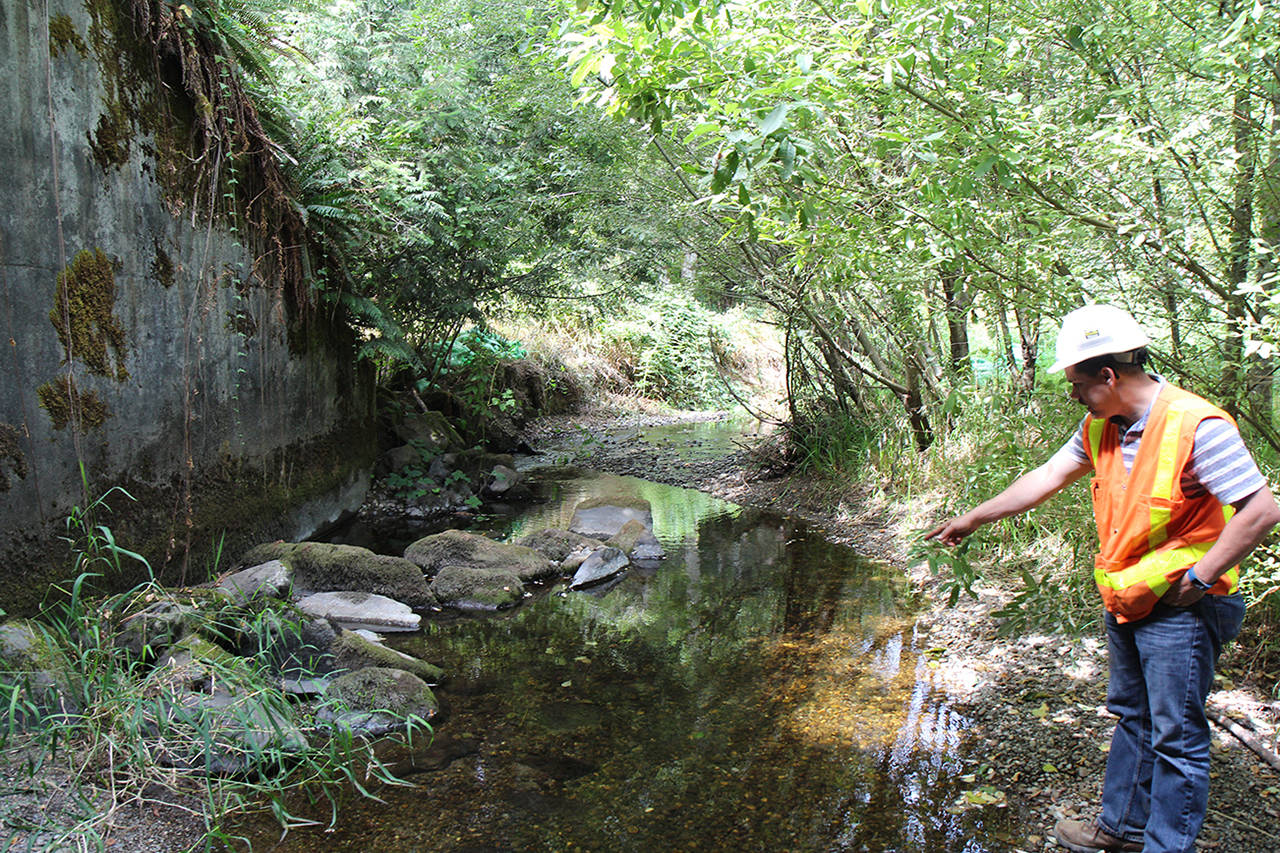 (Corey Morris | The Vidette) State Department of Transportation project engineer John Romero discusses natural features of the middle fork of Wildcat Creek.